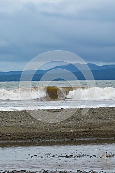 Curling wave on Torio Beach, Panama