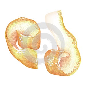 Curls of lemon skin. Citrus peel curls. Watercolor illustration. Isolated on a white background. For your design