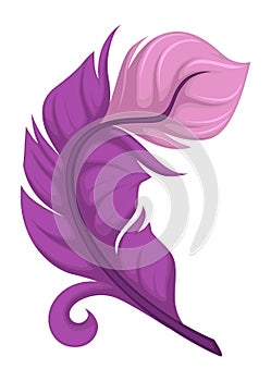 Curly avian plumage, purple soft plumelet of bird