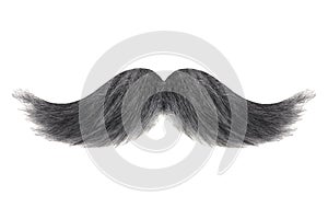 Curly black with grey moustache isolated on white