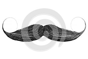Curly black mustache isolated on white