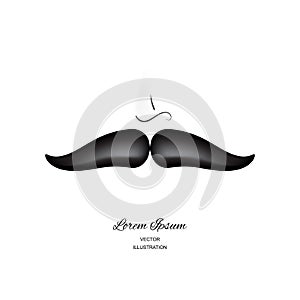 Curly black vintage mustache, moustache or whisker