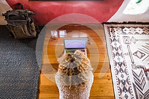 Curly blonde woman working at the laptop lay down on the floor in hotel or home room viewed from above - lady using computer