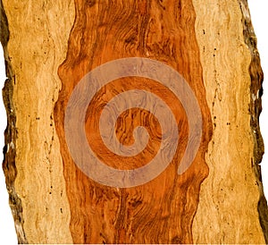 Curly bubinga wood