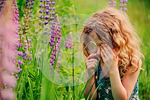 Curly child girl exploring nature with loupe on summer walk on lupin field