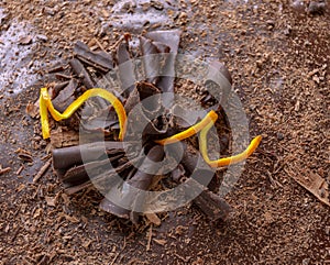 Curly chocolate, garnished with orange peel