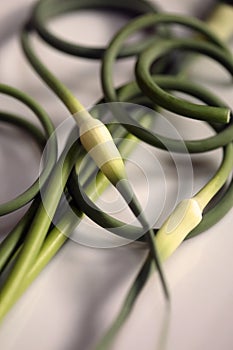 Curly garlic scapes close up on white table