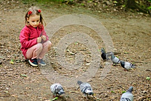 Curly Girl feeds urban pigeons pigeons in the park.