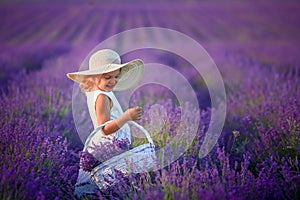 Curly girl standing on a lavender field in white dress and hat with cute face and nice hair with lavender bouquet and