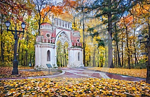 Curly Grape Gate in autumn Tsaritsyno Park