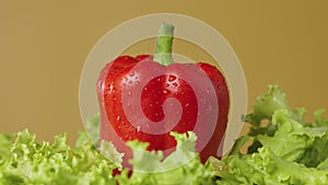 Curly green lettuce leaves and red bell peppers in water drops rotate on a brown studio background. Fresh ripe
