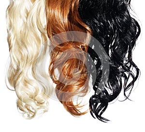 Curly Hair isolated in white. Colors Set