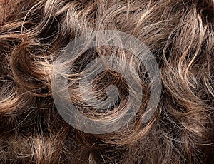 Curly hair texture