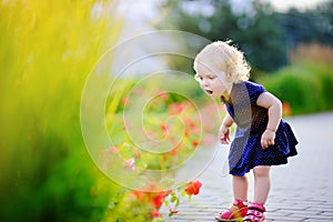 Curly hair toddler girl smelling red flowers