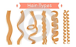 Curly hair types, infographic classification set vector illustration. Cartoon isolated group of light strands with