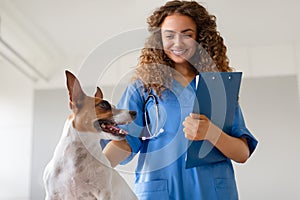 Curly-haired vet in scrubs with a friendly dog photo