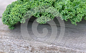 Curly of kale cabbage