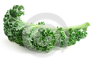 Curly kale leaves