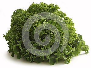Curly kale leaves