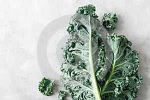 Curly kale leaves