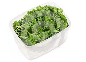 Curly leaf parsley in an open plastic food container