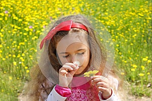 Curly little girl with a red bow in her hair smelling flower. Girl on a green meadow among yellow flowers