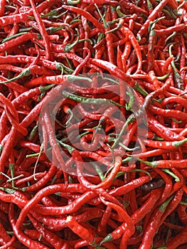 Curly red chili