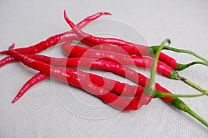 curly red chilies on white background