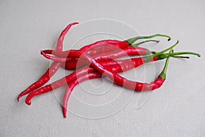 curly red chilies on white background