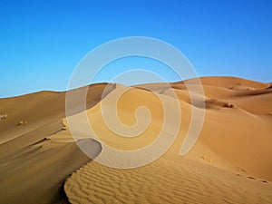 The curly sand dunes in Iranian desert
