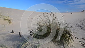 The Curonian spit dunes,