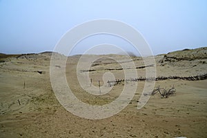 The Curonian Spit in the fog