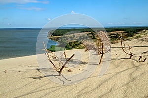 The Curonian Spit Kursiu Nerija National Park in Lithuania photo