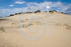 Curonian spit sand dunes