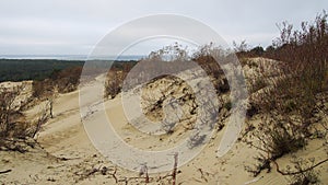 Curonian Spit sand dunes