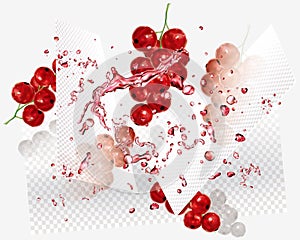 Currant red and juice splash on a abstract background