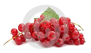 Currant red redcurrant photo