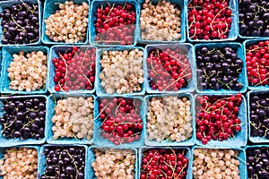 Currants from above in farmers market