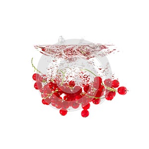 Currants splash on water, isolated on white background