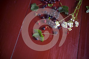 Currants, strawberries and daisies on the table. Still life.