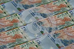 Currency of The Bahamas background. BSD dollars pattern. 50 cent