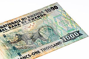 currency banknote of Africa