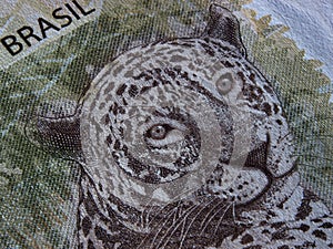 Currency detail