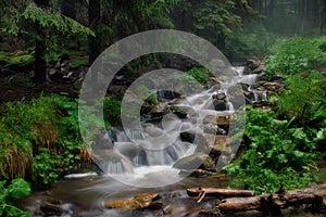 The current river the Prut in a fog