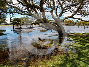 Currituck Heritage Park Flooding after Storm