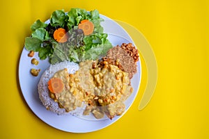 Curry fried Batter Fish with rice on plate over yellow background. Top view, flat lay