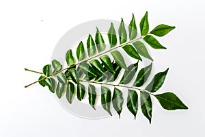 Curry leaves 2 - karapincha (Murraya koenigii)