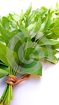 Curry leaves or sweet neem