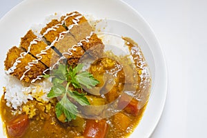 Curry pork chop rice on a white background