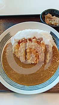 Curry and rice on the table. home cooking